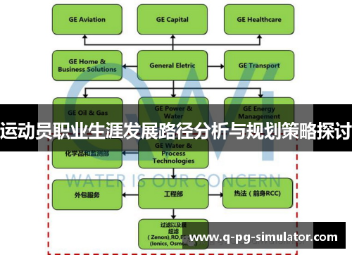运动员职业生涯发展路径分析与规划策略探讨