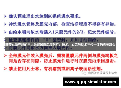 韩莹女单夺冠的三大关键因素深度剖析：技术、心态与战术三位一体的完美融合
