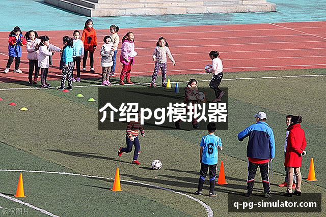 介绍pg模拟器